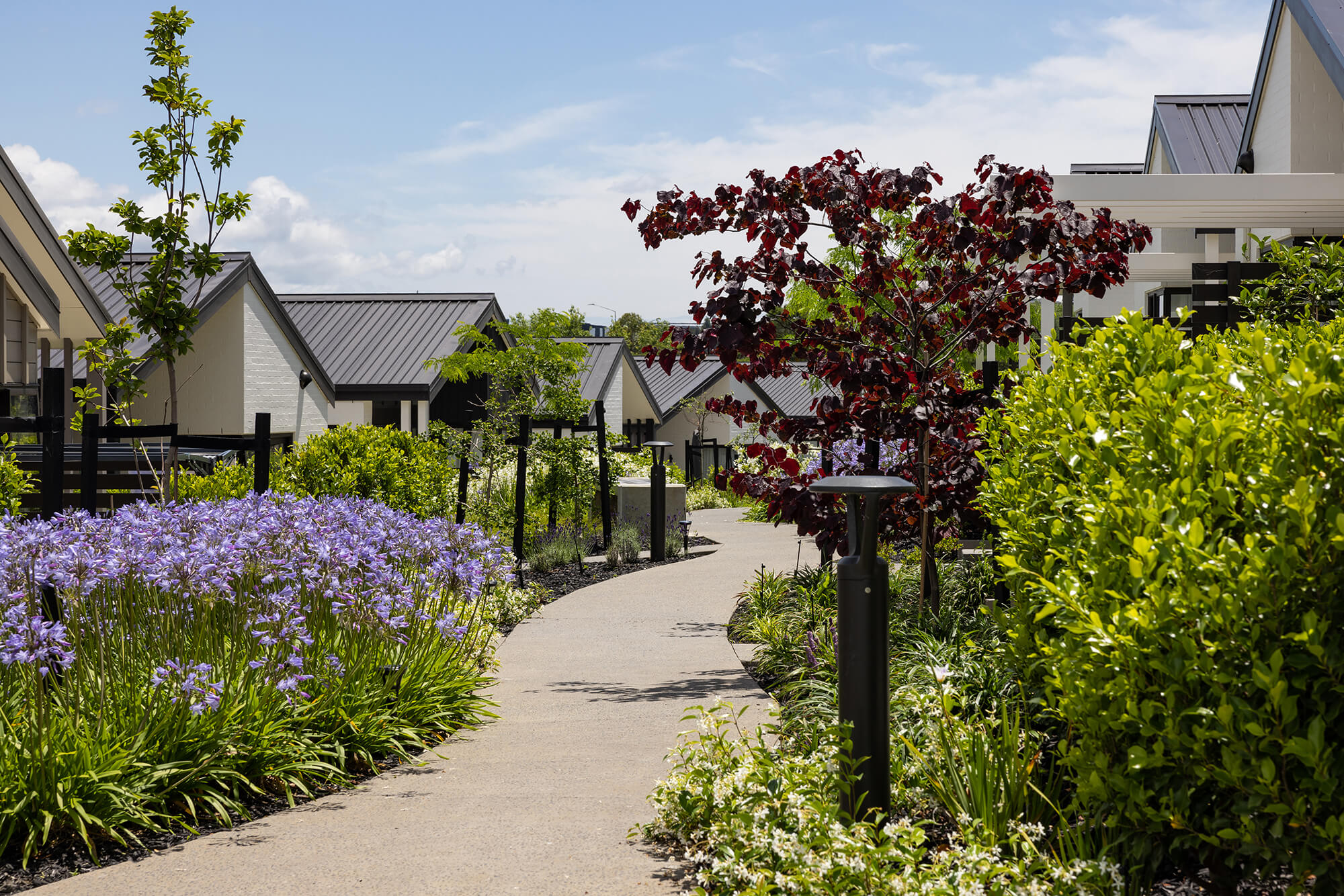 Retirement village path weaving between spring gardens.