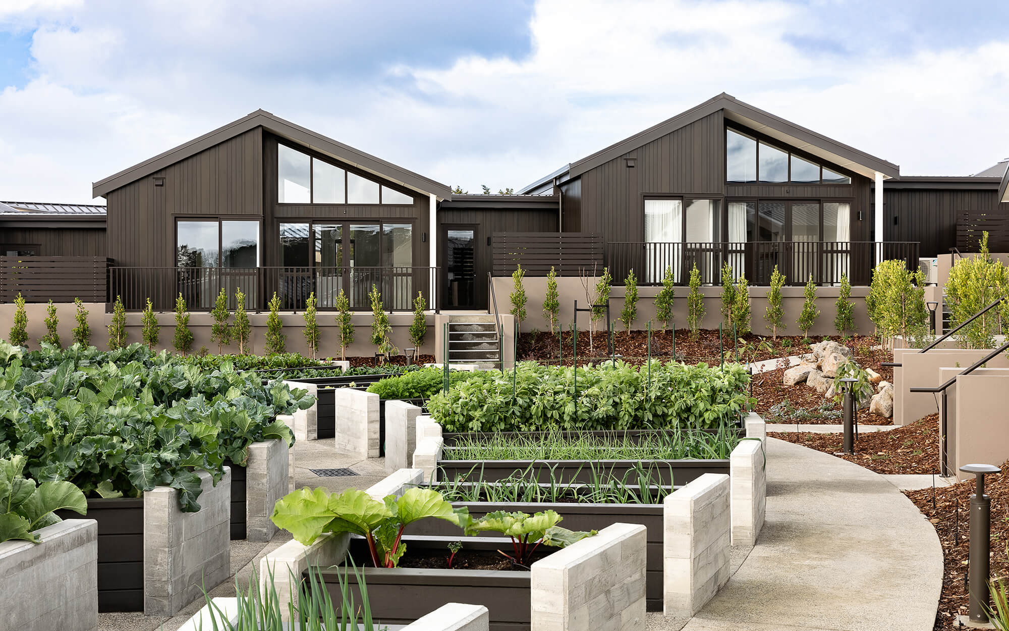 Two single level duplex villas with black vertical cladding look out over raised planter boxes overflowing with produce.