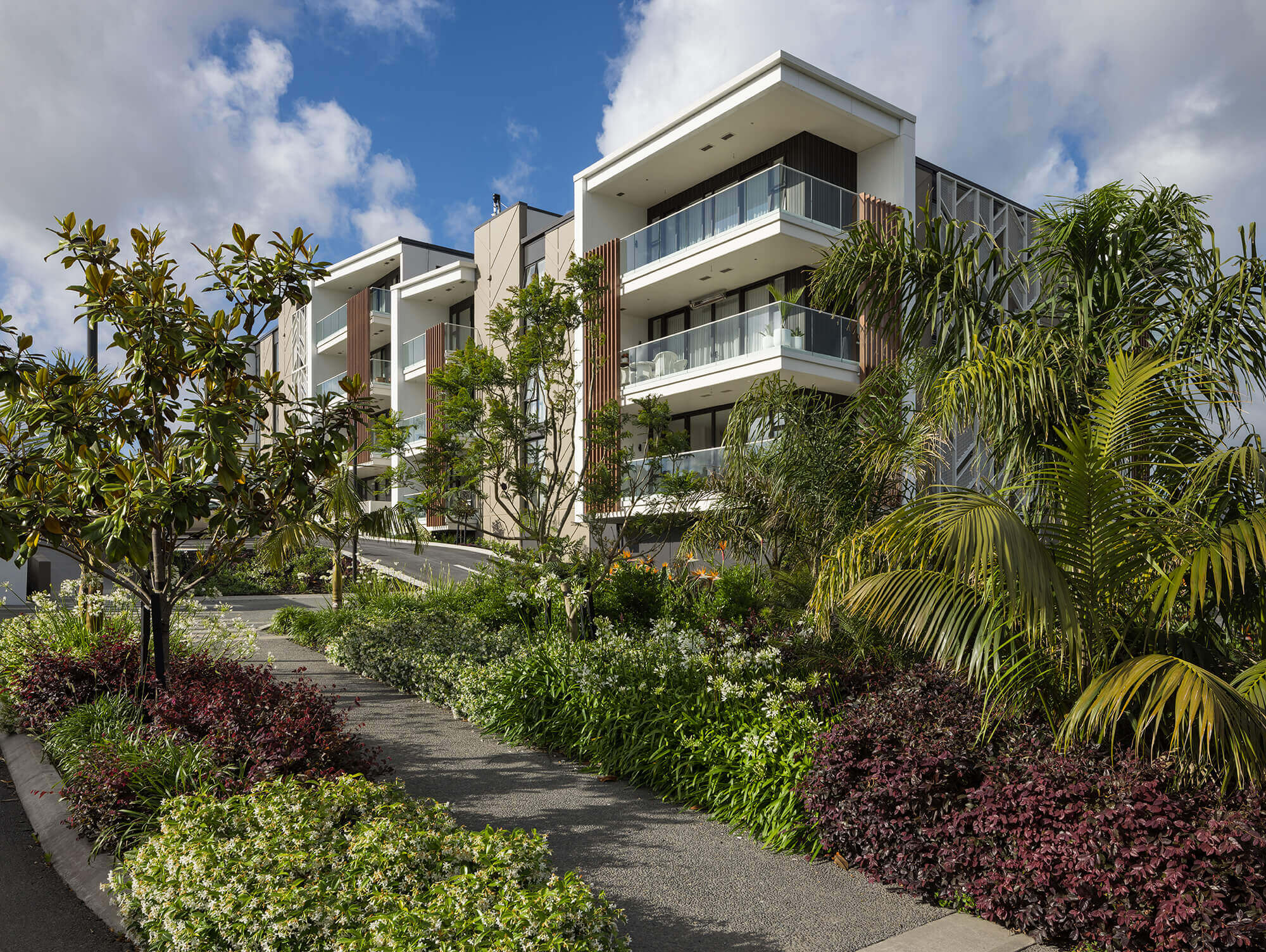 The large balconies of units in the Nikau Apartment building peak through the lush green gardens that surround the building.