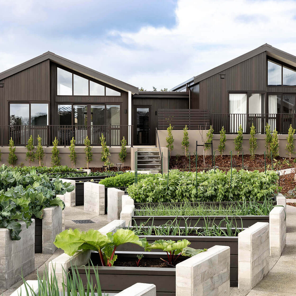 Two single level duplex villas with black vertical cladding look out over raised planter boxes overflowing with produce.