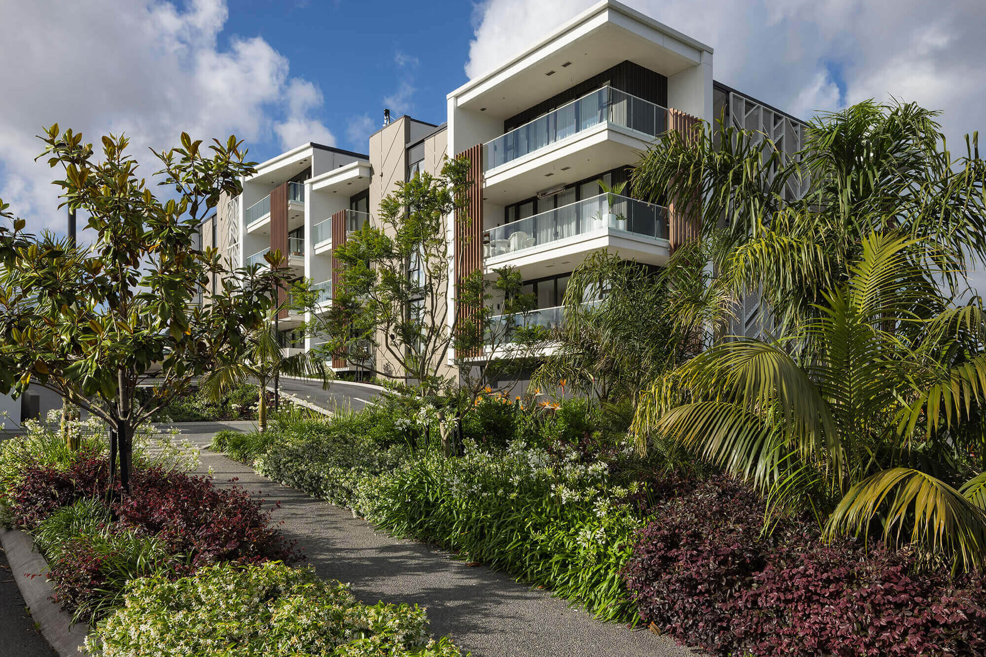 The large balconies of units in the Nikau Apartment building peak through the lush green gardens that surround the building.