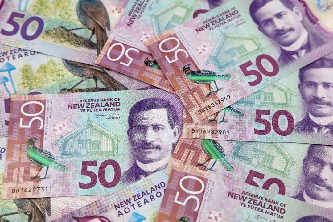 New Zealand Fifty Dollar Bank Notes