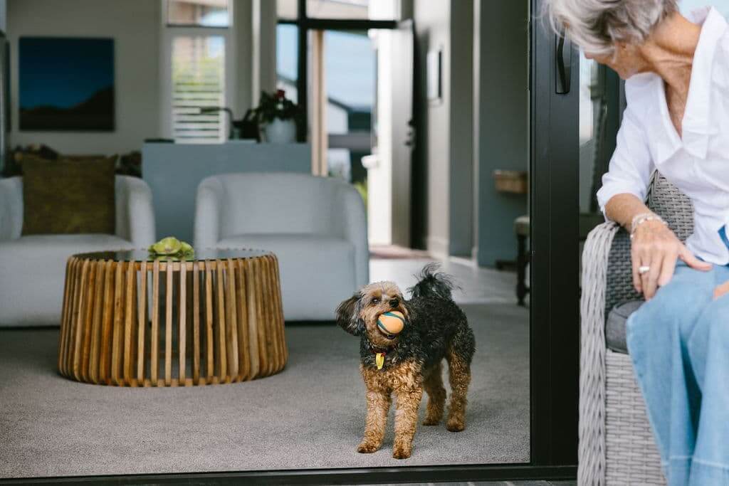 Robin and Button the dog with a ball in mouth