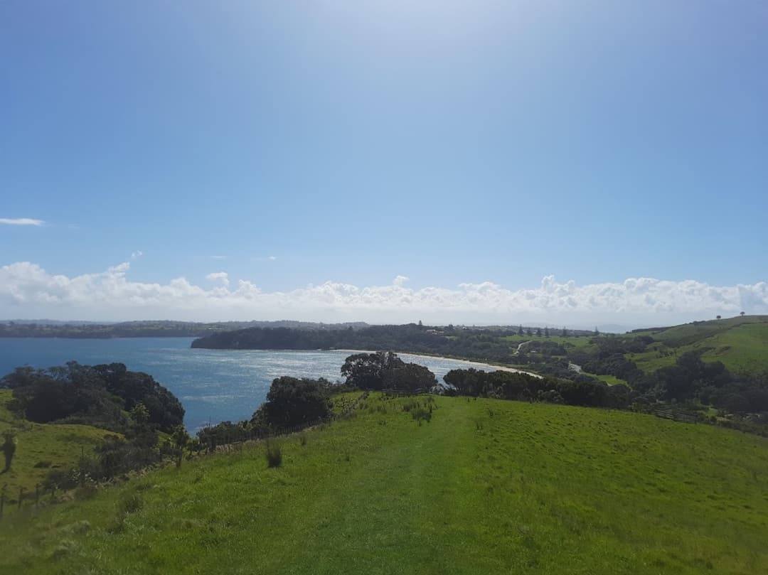 Hibiscus Coast - Shakespear Regional Park