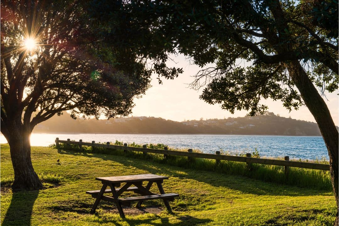 Hibiscus Coast Stanmore Bay