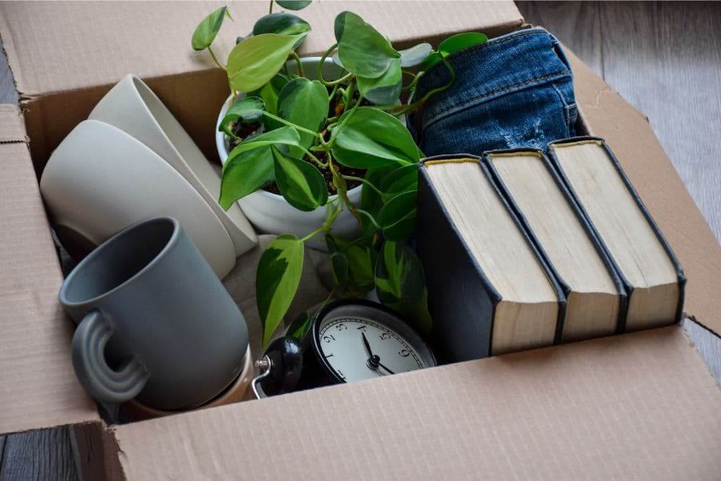 Downsizing Essentials Box